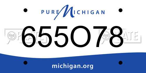 655O78 Michigan License Plate