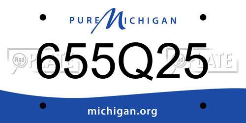 655Q25 Michigan License Plate