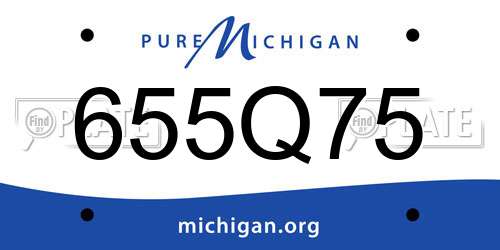 655Q75 Michigan License Plate