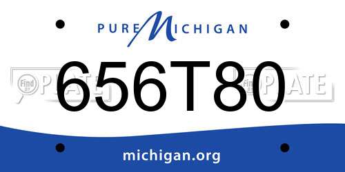 656T80 Michigan License Plate