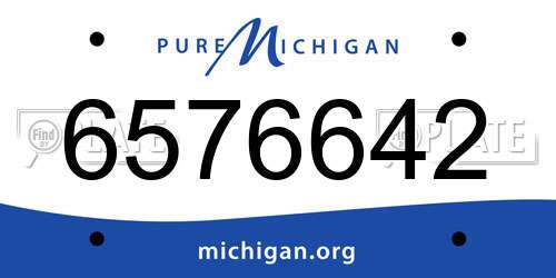 6576642 Michigan License Plate