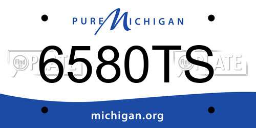6580TS Michigan License Plate