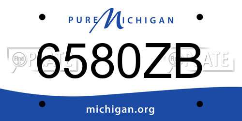 6580ZB Michigan License Plate