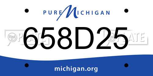 658D25 Michigan License Plate