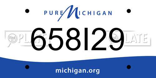 658I29 Michigan License Plate