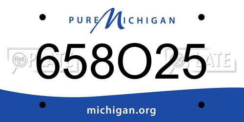 658O25 Michigan License Plate