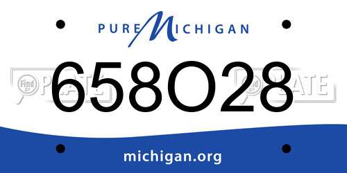 658O28 Michigan License Plate