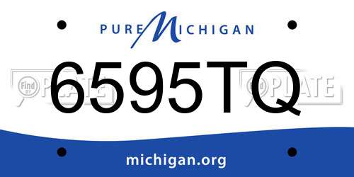 6595TQ Michigan License Plate