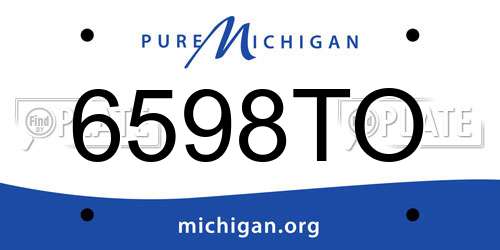 6598TO Michigan License Plate