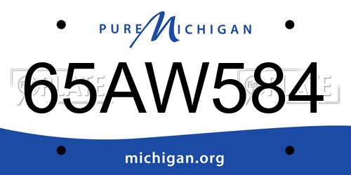 65AW584 Michigan License Plate