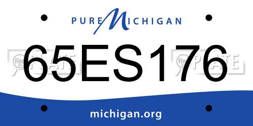 65ES176 Michigan License Plate