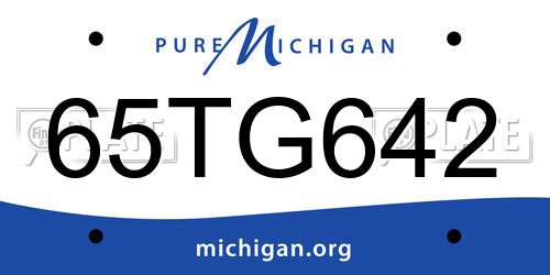 65TG642 Michigan License Plate