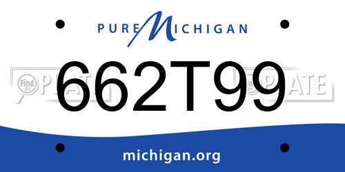 662T99 Michigan License Plate