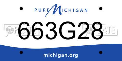 663G28 Michigan License Plate