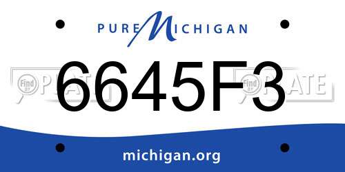 6645F3 Michigan License Plate