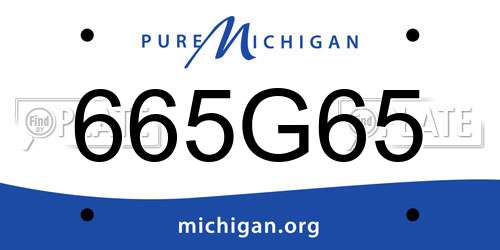 665G65 Michigan License Plate