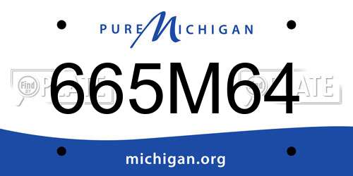 665M64 Michigan License Plate