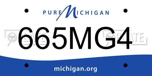 665MG4 Michigan License Plate