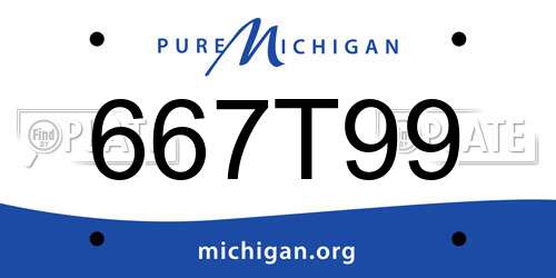 667T99 Michigan License Plate
