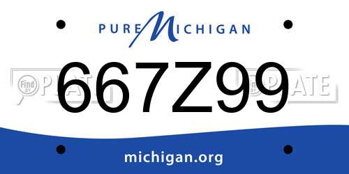 667Z99 Michigan License Plate