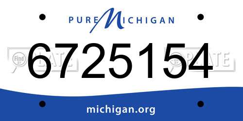 6725154 Michigan License Plate