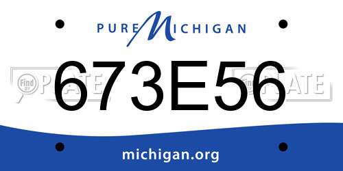 673E56 Michigan License Plate