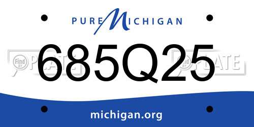 685Q25 Michigan License Plate