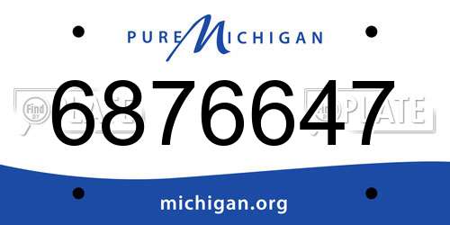 6876647 Michigan License Plate