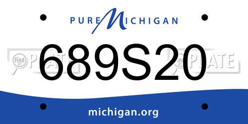 689S20 Michigan License Plate