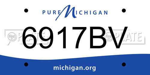 6917BV Michigan License Plate
