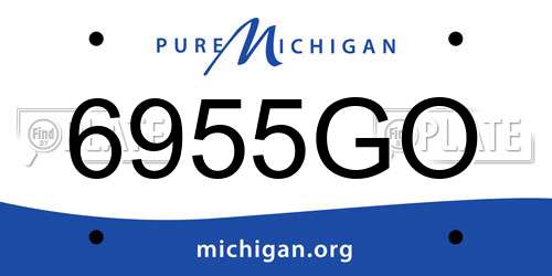 6955GO Michigan License Plate