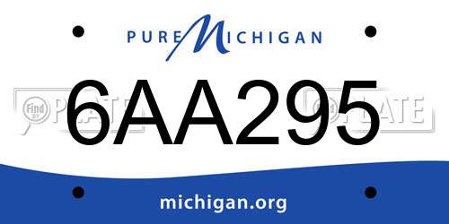 6AA295 Michigan License Plate