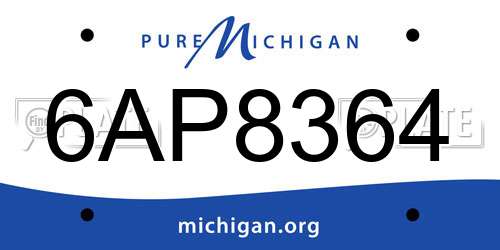 6AP8364 Michigan License Plate