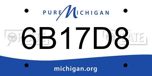 6B17D8 Michigan License Plate