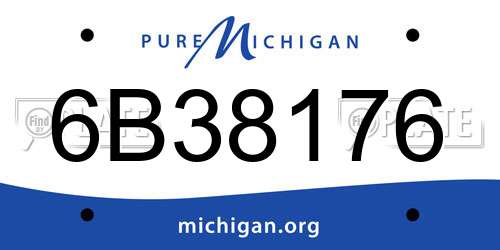 6B38176 Michigan License Plate
