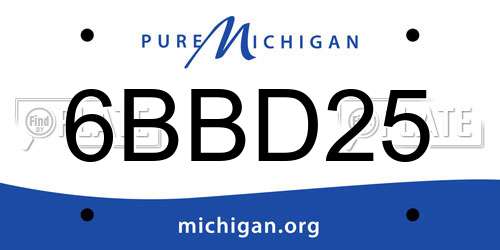 6BBD25 Michigan License Plate