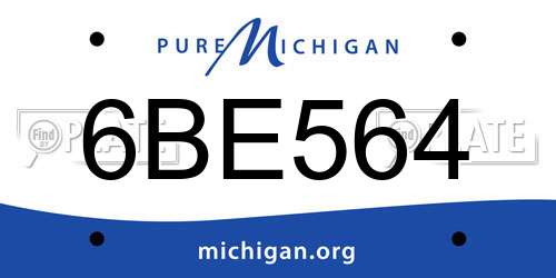 6BE564 Michigan License Plate