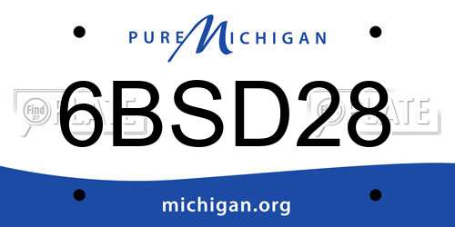 6BSD28 Michigan License Plate