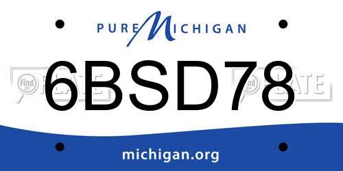 6BSD78 Michigan License Plate