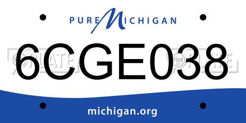 6CGE038 Michigan License Plate