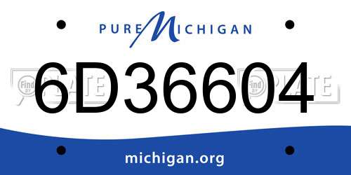 6D36604 Michigan License Plate