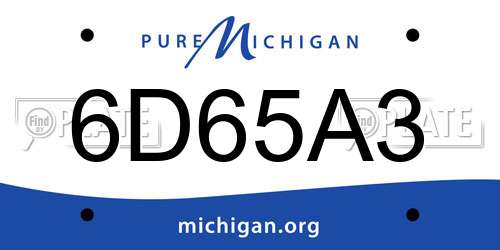 6D65A3 Michigan License Plate