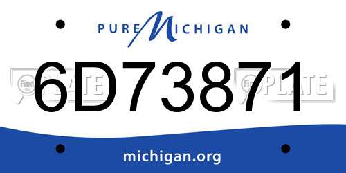 6D73871 Michigan License Plate