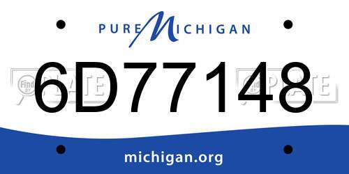 6D77148 Michigan License Plate