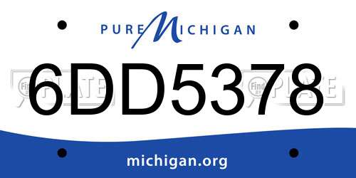 6DD5378 Michigan License Plate