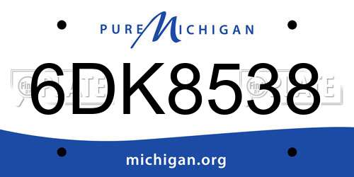 6DK8538 Michigan License Plate
