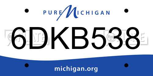 6DKB538 Michigan License Plate