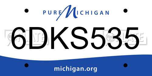 6DKS535 Michigan License Plate