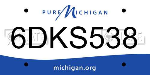 6DKS538 Michigan License Plate