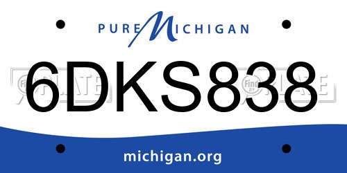6DKS838 Michigan License Plate